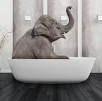 Minimalism/ functionality dominate - n Tracking today's trends n KBIS take-aways - ALSO: The International Cast ...