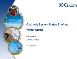 Quarterly System Status Briefing Winter Status - Brian Molefe Chief Executive 17 June 2015