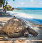 SEYCHELLES DISCOVERY CRUISE - Mercury Holidays