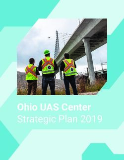 Ohio UAS Center Strategic Plan 2019 - Ohio Department of ...