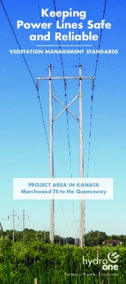 Keeping Power Lines Safe and Reliable - VEGETATION MANAGEMENT STANDARDS - PROJECT AREA IN KANATA Marchwood TS to the Queensway - Kanata ...
