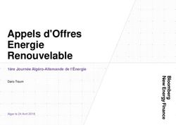 Appels d'Offres Energie Renouvelable - 1ère Journée Algéro-Allemande de l'Énergie - Dario Traum.