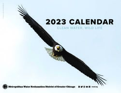 Metropolitan Water Reclamation District of Greater Chicago