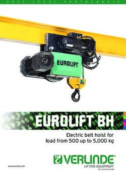 EUROLIFT BH Electric belt hoist for load from 500 up to 5,000 kg - Verlinde