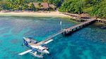 Unravelled - Dolphin Island Fiji