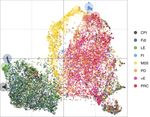 Fine-Grained Prediction of Political Leaning on Social Media with Unsupervised Deep Learning