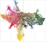 Fine-Grained Prediction of Political Leaning on Social Media with Unsupervised Deep Learning