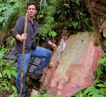 DEAN'S REPORT 2019 - College of Communication - Boston University