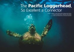 The Pacific Loggerhead, So Excellent a Connector