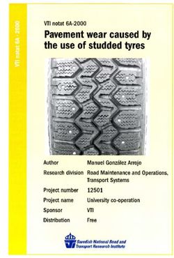 PAVEMENT WEAR CAUSED BY THE USE OF STUDDED TYRES - DIVA