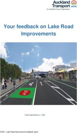 Your feedback on Lake Road Improvements - Auckland ...