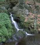 Avoided Deforestation - A CLIMATE MITIGATION OPPORTUNITY IN NEW ENGLAND AND NEW YORK - The Nature Conservancy