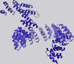 Review How RNA-Binding Proteins Interact with RNA: Molecules and Mechanisms - Yeo Lab