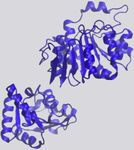 Review How RNA-Binding Proteins Interact with RNA: Molecules and Mechanisms - Yeo Lab