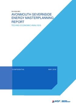 AVONMOUTH SEVERNSIDE ENERGY MASTERPLANNING REPORT - TECHNO-ECONOMIC ANALYSIS - CONFIDENTIAL