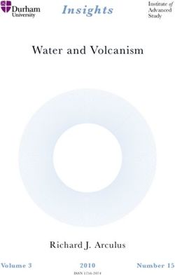 Insights Water and Volcanism - Richard J. Arculus - IAS Durham
