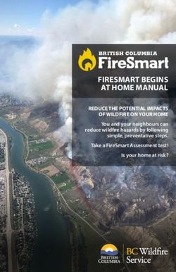 FIRESMART BEGINS AT HOME MANUAL - REDUCE THE POTENTIAL IMPACTS OF WILDFIRE ON YOUR HOME - Province of British Columbia