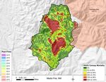Southwestern US 2020 Wildfire Season: An Overview - JULY 2021