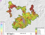 Southwestern US 2020 Wildfire Season: An Overview - JULY 2021