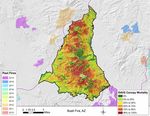 Southwestern US 2020 Wildfire Season: An Overview - JULY 2021