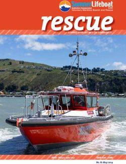 Rescue Sumner Lifeboat and itS community - FREE - Please take one - Sumner Lifeboat Institution