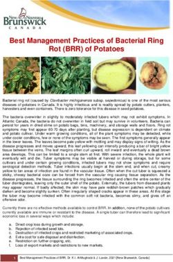 Best Management Practices of Bacterial Ring Rot (BRR) of Potatoes