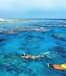 Great Barrier Reef Partnerships for the future - The Australian Institute ...