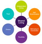 Introduction to NDIS Individual Living Options (ILOs)
