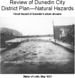 Review of Dunedin City District Plan-Natural Hazards - Flood Hazard of Dunedin's urban streams - Water of Leith, May 1923
