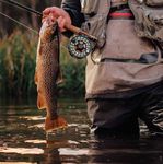 2021-22 Fishing Code Tasmanian Inland - The essential pocket guide - Inland Fisheries ...