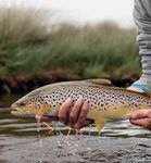 2021-22 Fishing Code Tasmanian Inland - The essential pocket guide - Inland Fisheries ...