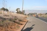 Marin-Sonoma Narrows (MSN) HOV Widening Project