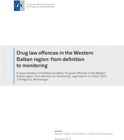 Drug law offences in the Western Balkan region: from definition to monitoring - European ...