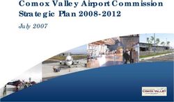 Comox Valley Airport Commission Strategic Plan 2008-2012 - July 2007