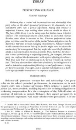 ESSAY PROTECTING RELIANCE