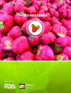 STRAWBERRIES - Presented by - debis farms nigeria limited