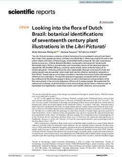 Looking into the flora of Dutch Brazil: botanical identifications of seventeenth century plant illustrations in the Libri Picturati