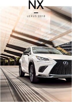 NX LEXUS 2018 - Dealer E Process