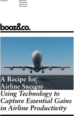 A Recipe for Airline Success Using Technology to Capture Essential Gains in Airline Productivity