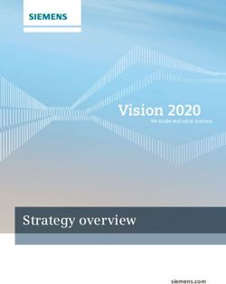 Vision 2020 Strategy overview - Global