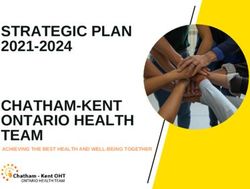 STRATEGIC PLAN 2021-2024 - CHATHAM-KENT ONTARIO HEALTH TEAM ACHIEVING THE BEST HEALTH AND WELL-BEING TOGETHER