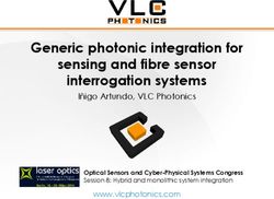 Generic photonic integration for sensing and fibre sensor interrogation systems - I&ntilde;igo Artundo, VLC Photonics