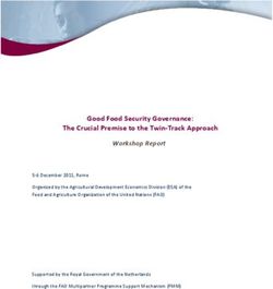 Good Food Security Governance: The Crucial Premise to the Twin-Track Approach