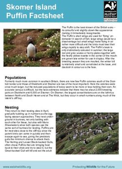 Skomer Island Puffin Factsheet - The Wildlife Trust of South and West ...
