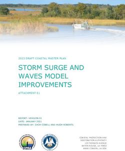 STORM SURGE AND WAVES MODEL IMPROVEMENTS
