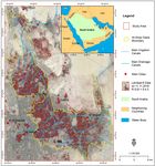Land use/land cover assessment as related to soil and irrigation water salinity over an oasis in arid environment