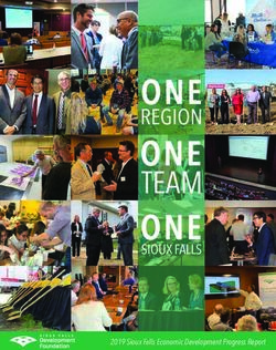 2019 Sioux Falls Economic Development Progress Report - Sioux Falls Development Foundation