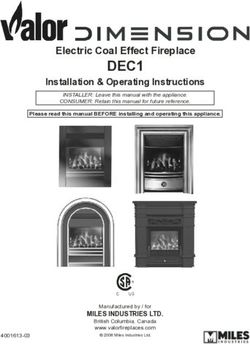 DEC1 Electric Coal Effect Fireplace - Valor Fireplaces