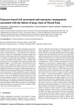 Exposure-based risk assessment and emergency management associated with the fallout of large clasts at Mount Etna - NHESS
