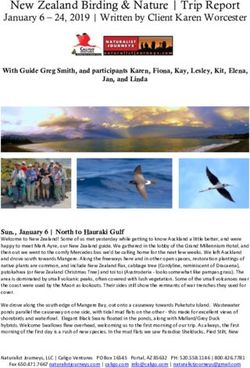 New Zealand Birding & Nature | Trip Report - Naturalist Journeys
